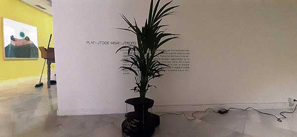 plantoide